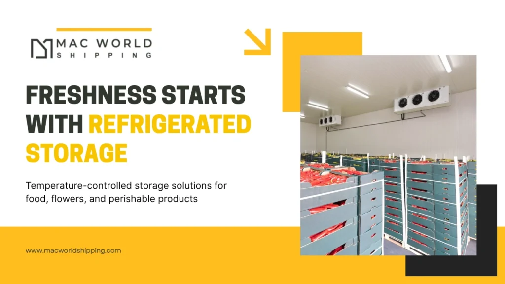 Why Refrigerated Storage is Essential for Flower & Food Businesses in UAE